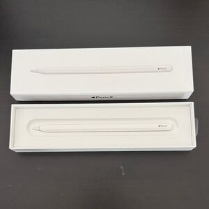 Apple Pencil (2nd Gen)